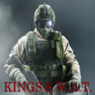 现代反恐部队 Kings S.W.A.T. v1.12