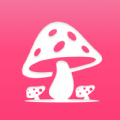 蘑菇赏免费版