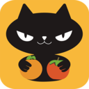 橙柿猫安卓版